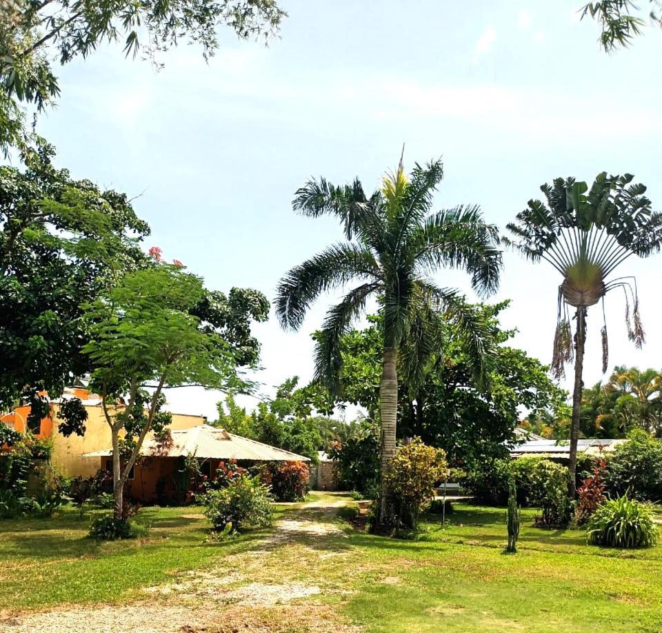 Fata Morgana Eco Hotel ลาสแตร์เรนาส ภายนอก รูปภาพ
